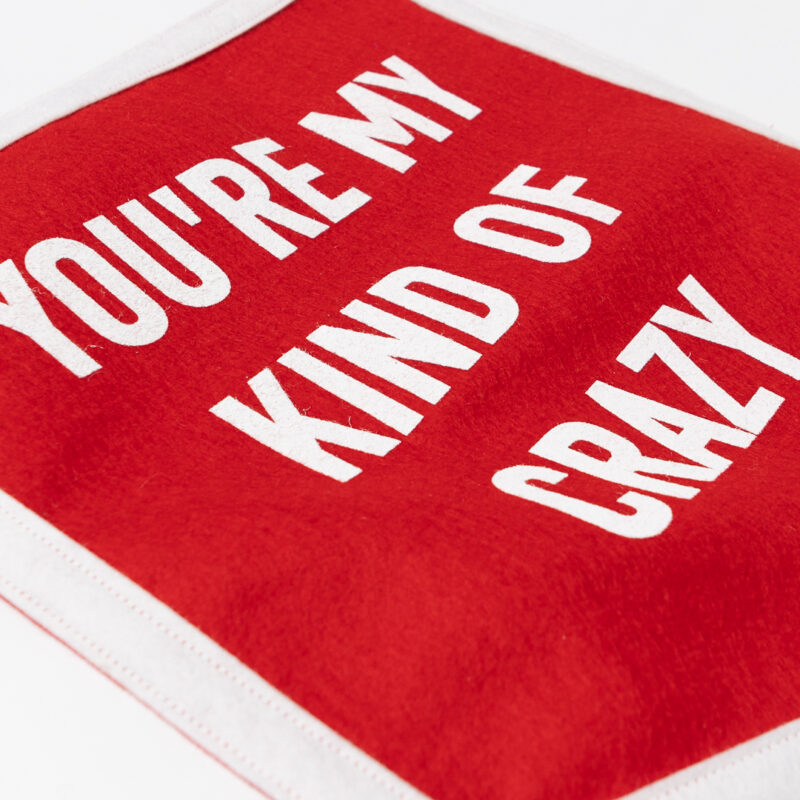 You're My Kind Of Crazy Mini Banner